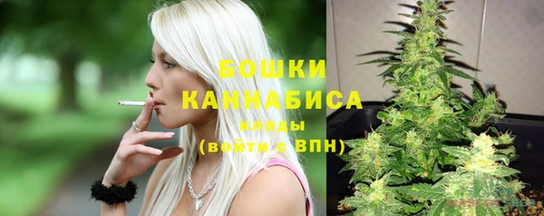 стафф Белокуриха