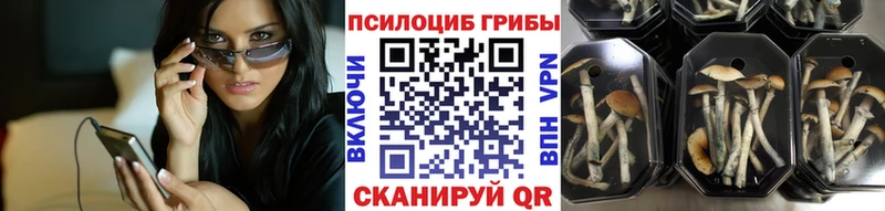 купить закладку  Надым  Галлюциногенные грибы прущие грибы 